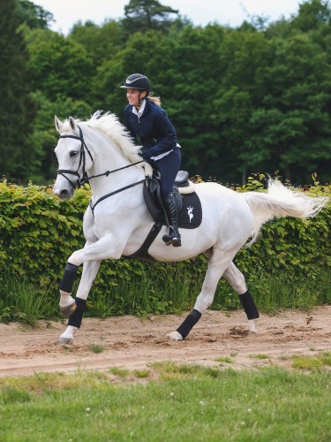 Ratsapüksid Janne x PinkRibbon Covalliero