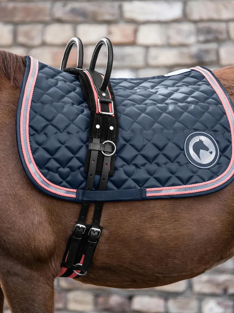 Voltižeerimise sedelgas Waldhausen