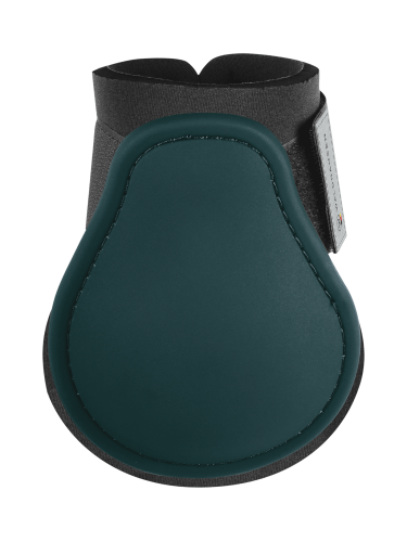Tagajalakaitsmed Basic Waldhausen