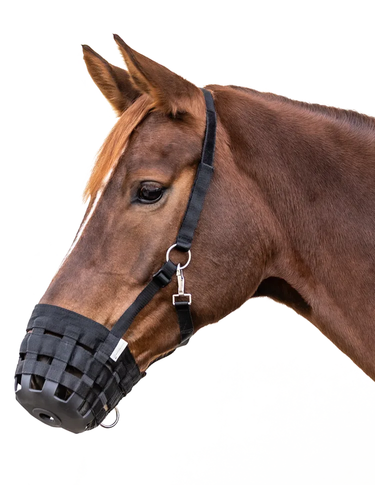 Suukorv Grazing Waldhausen