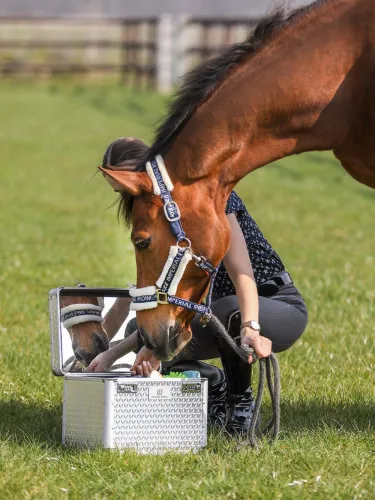 Harjakast Shiny Imperial Riding