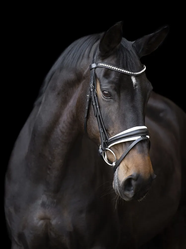 Valjad Fria Imperial Riding