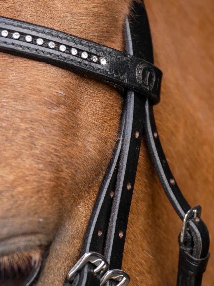 Shetlandi valjad Stormy Imperial Riding