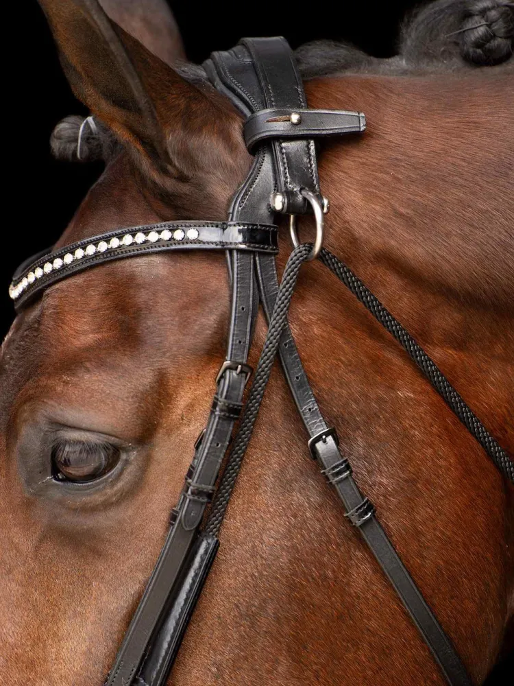 Šamboon Core Imperial Riding