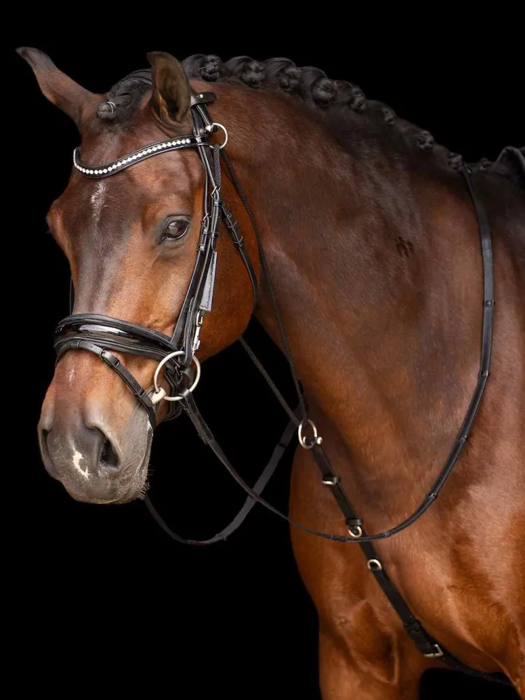 Šamboon Core Imperial Riding