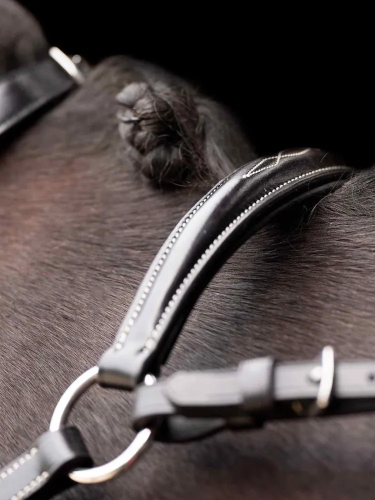 Martingal Legacy HV Polo