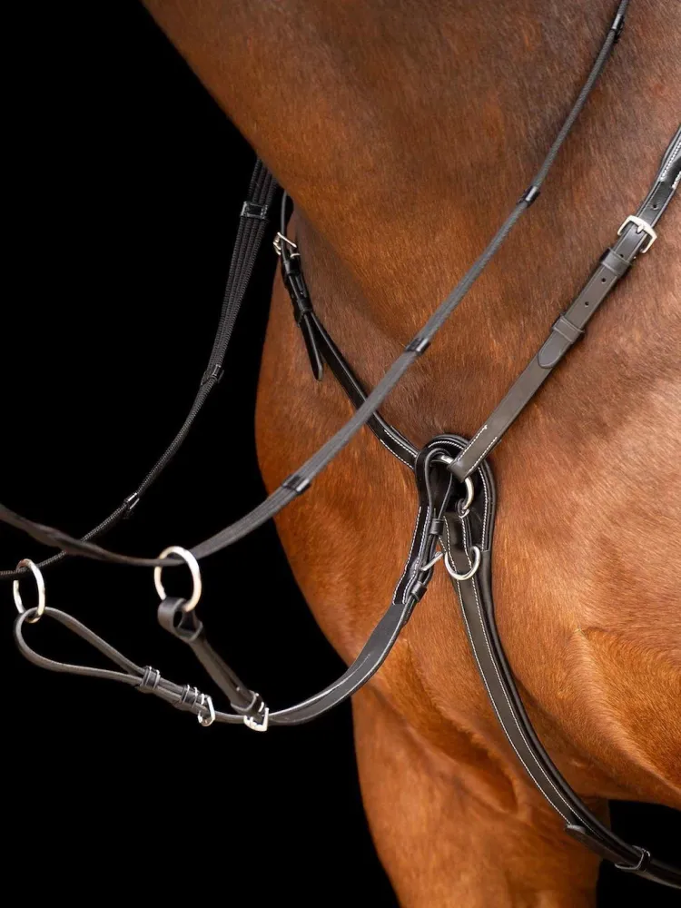 Martingal Legacy HV Polo
