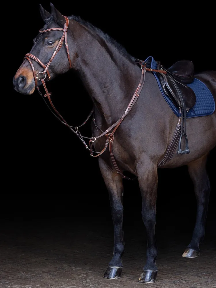 Martingal Legacy HV Polo