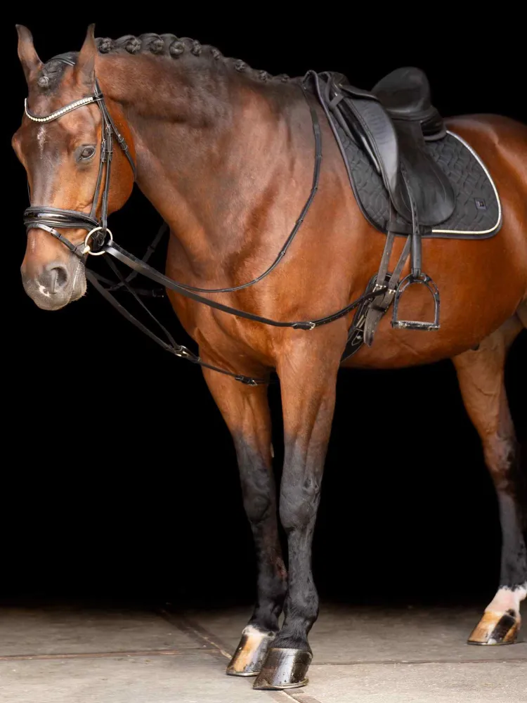 Libisev külgratse Core Imperial Riding