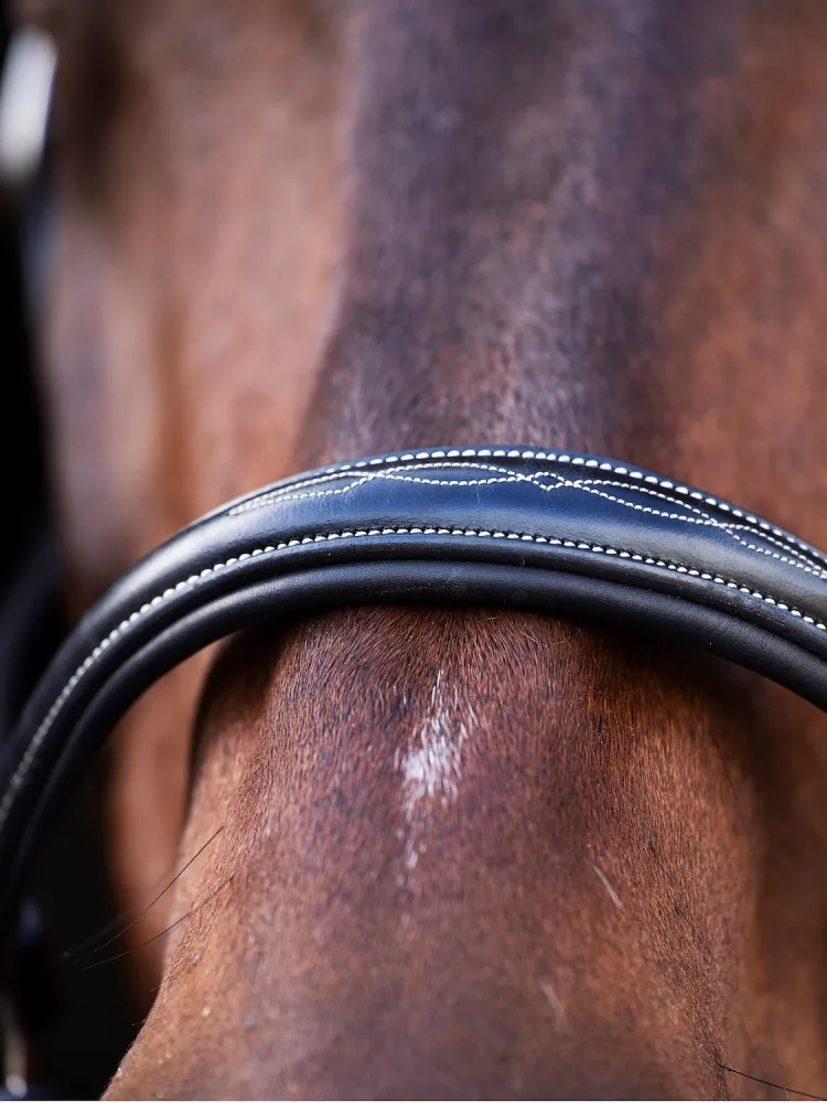 Nahast päitsed Legacy HV Polo
