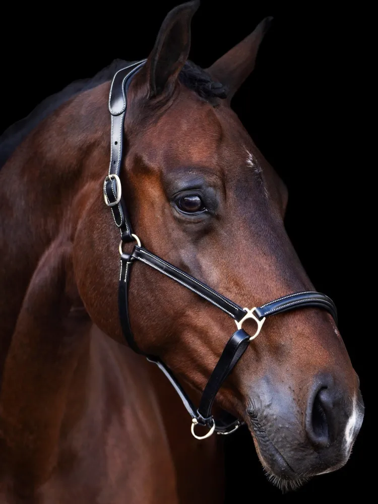 Nahast päitsed Legacy HV Polo