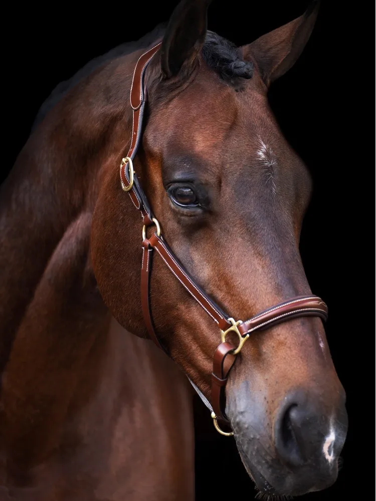 Nahast päitsed Legacy HV Polo