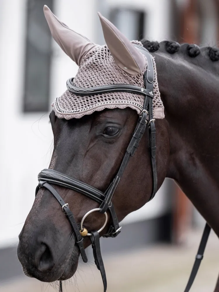 Kõrvad Classic HV Polo