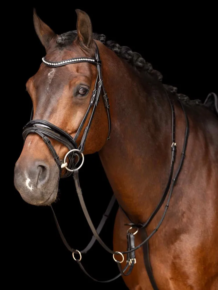 Martingal Core Imperial Riding