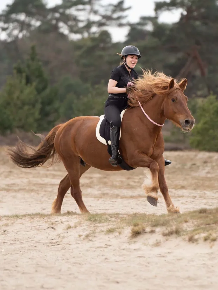 Kaelanöör Free Ride Imperial Riding