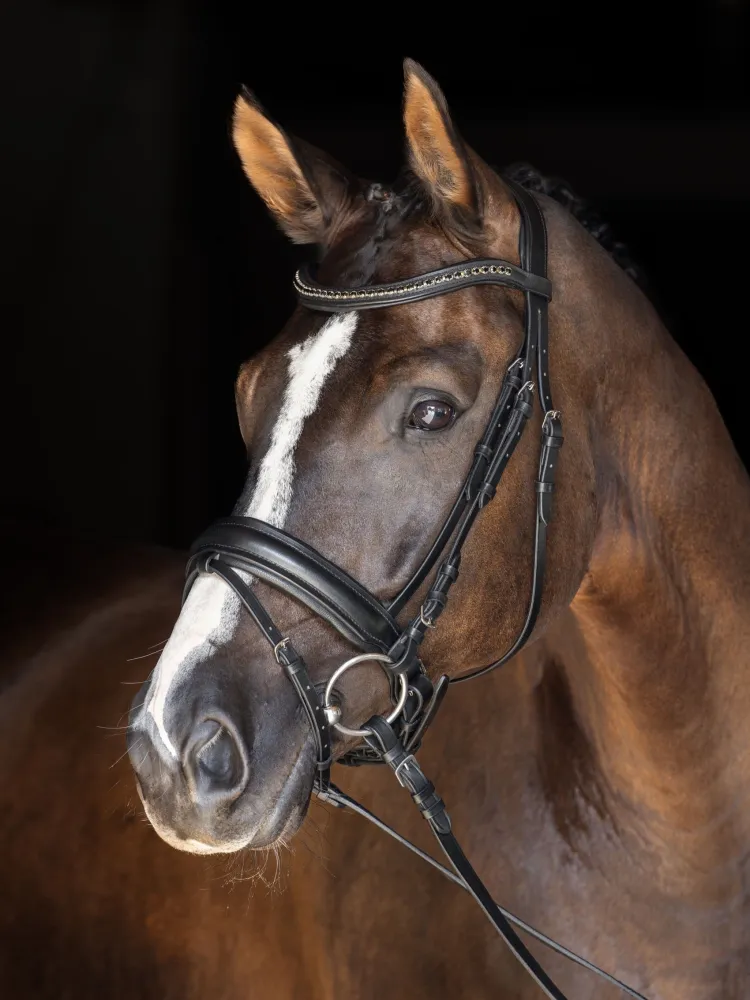 Valjad Swedish Covalliero