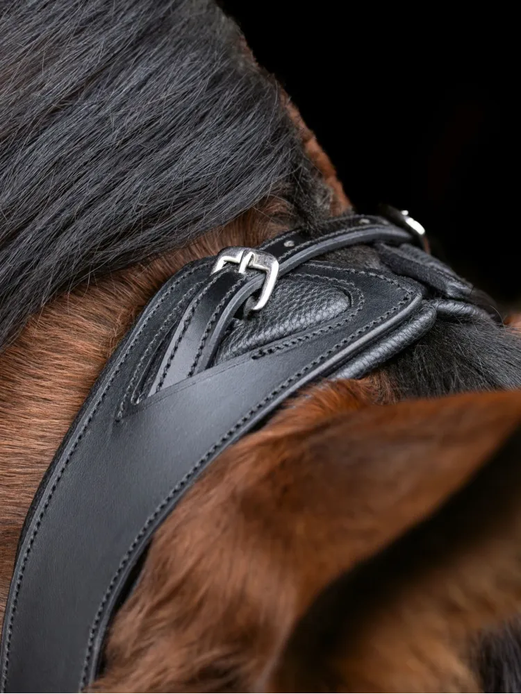 Valjad Anatomic Covalliero