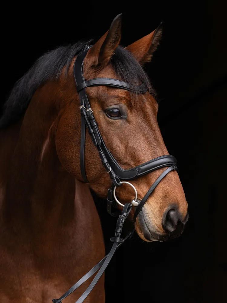 Valjad Anatomic Covalliero