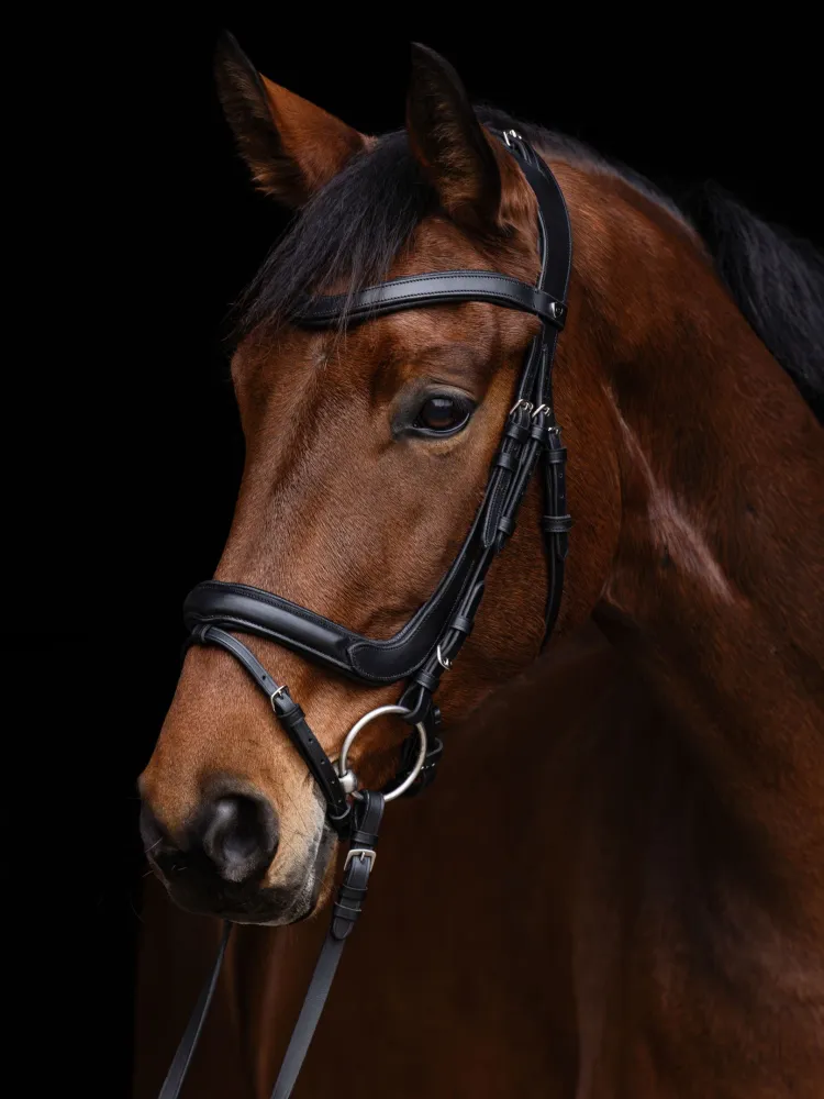 Valjad Anatomic Covalliero