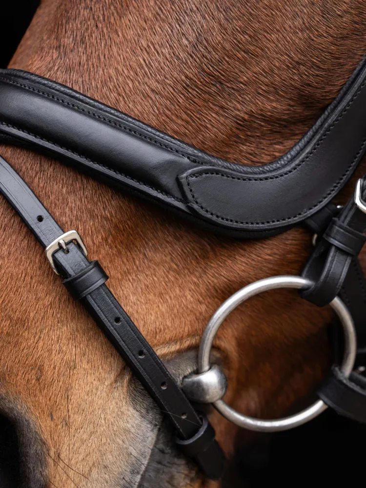 Valjad Anatomic Covalliero