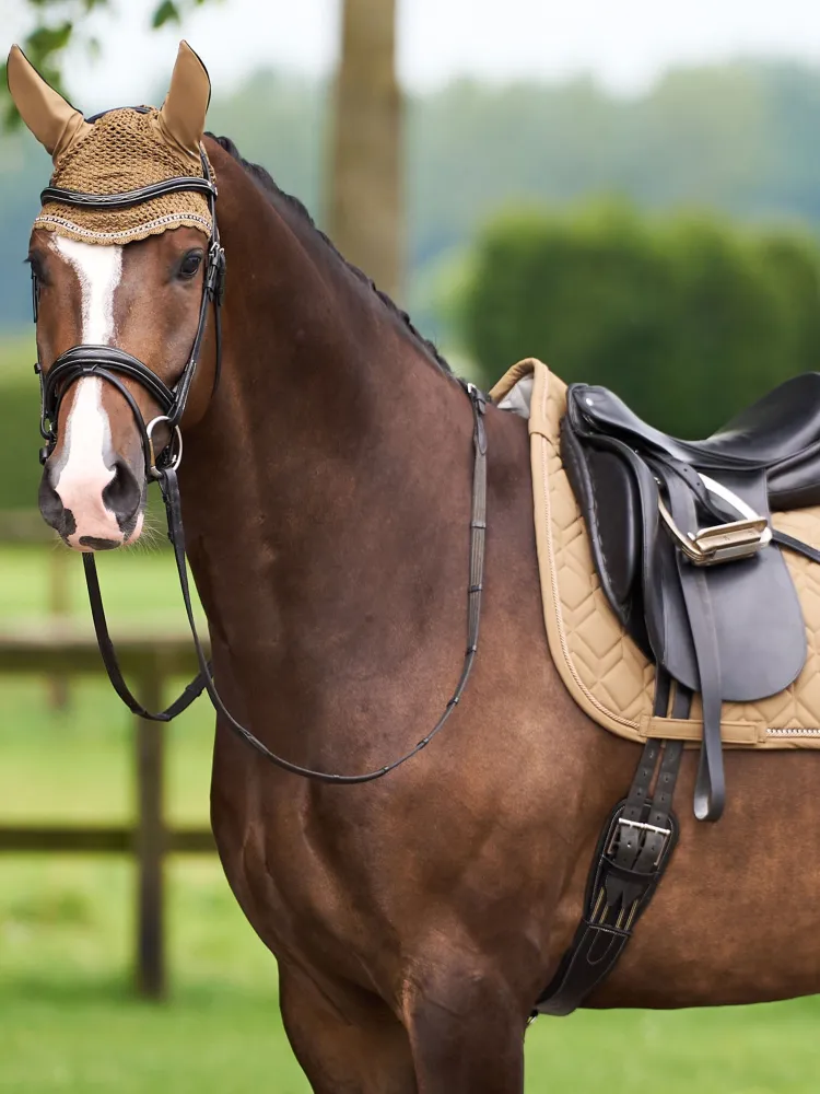 Koolisõiduvaltrap Classic HV Polo