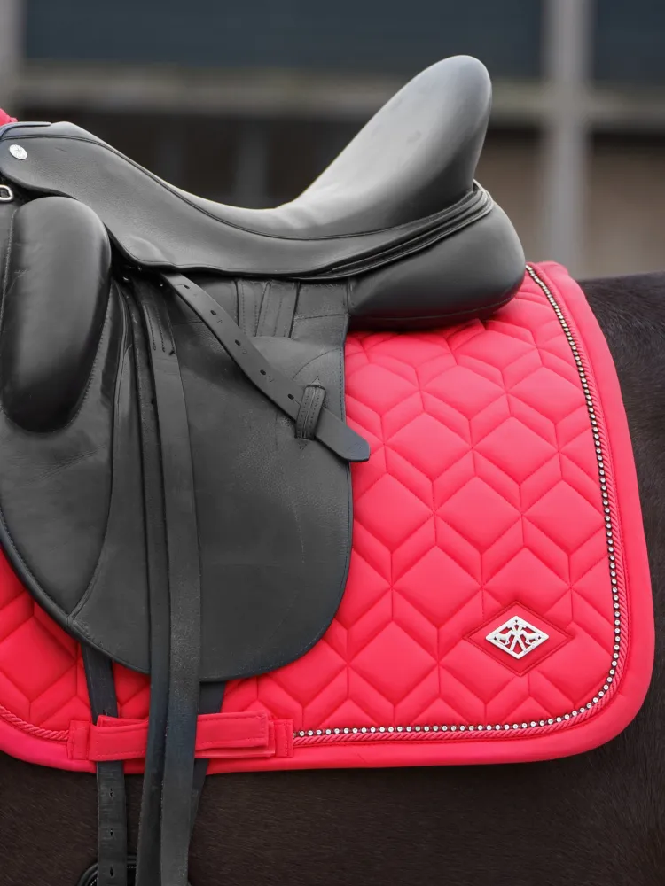 Koolisõiduvaltrap Classic HV Polo