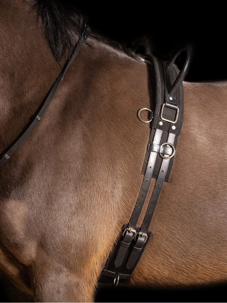 Voltizeermise sedelgas Vidal Imperial Riding