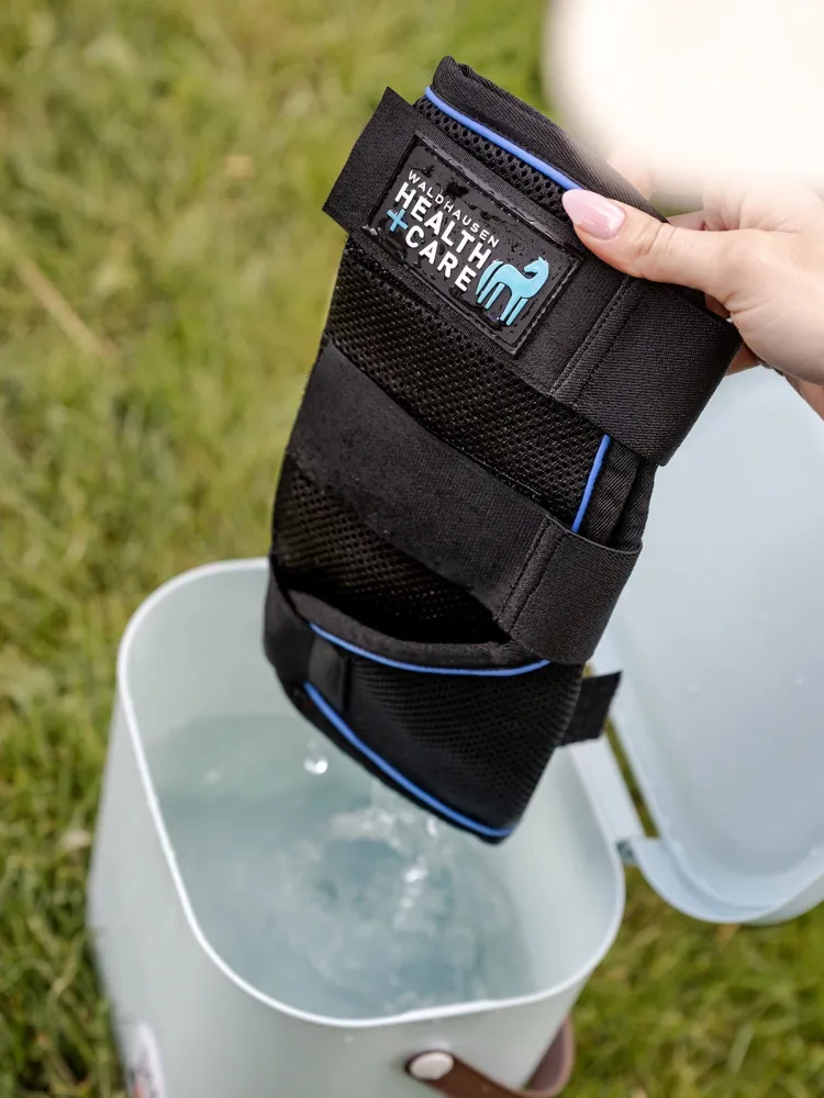 Jalakaitsmed Health & Care Ice Layer Waldhausen