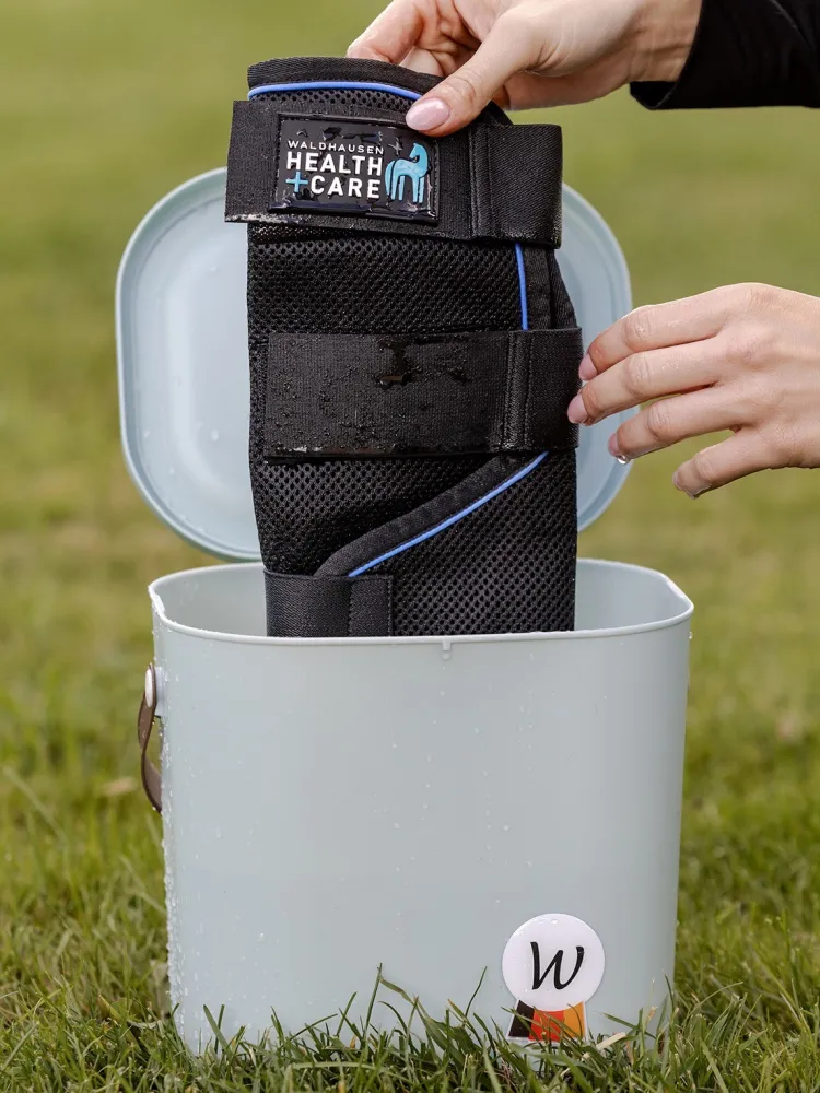 Jalakaitsmed Health & Care Ice Layer Waldhausen