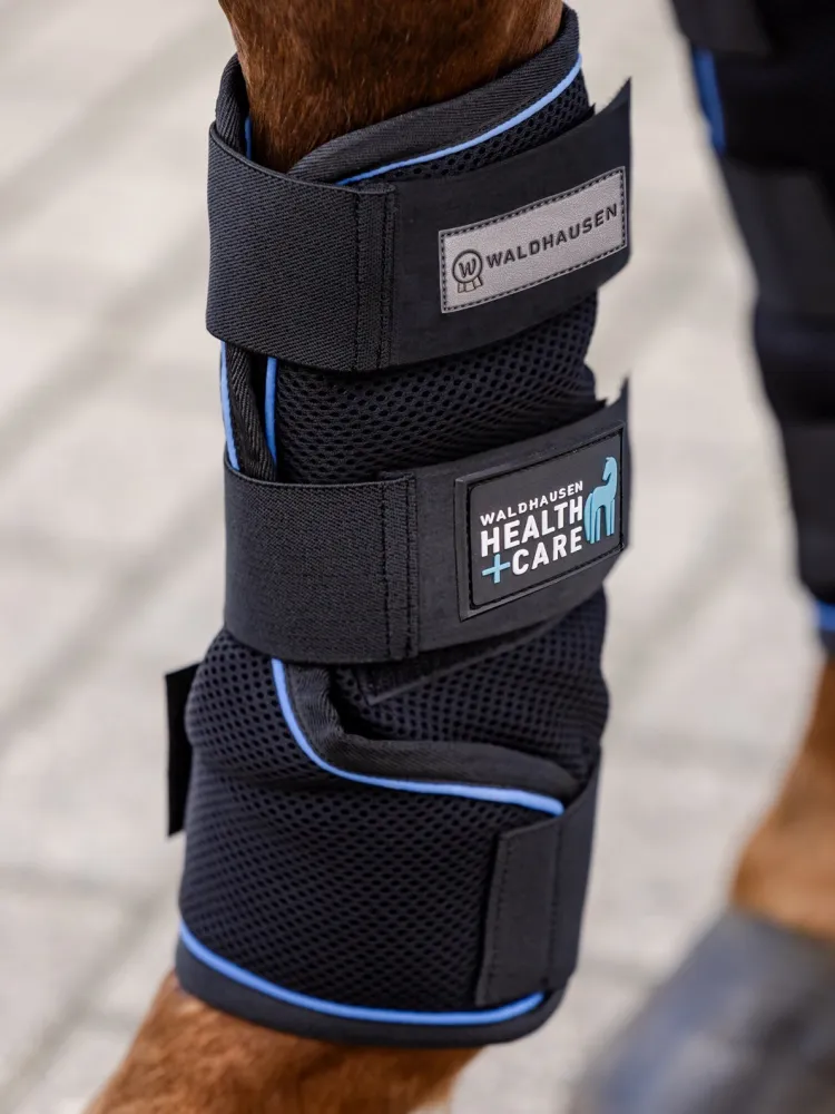 Jalakaitsmed Health & Care Ice Layer Waldhausen