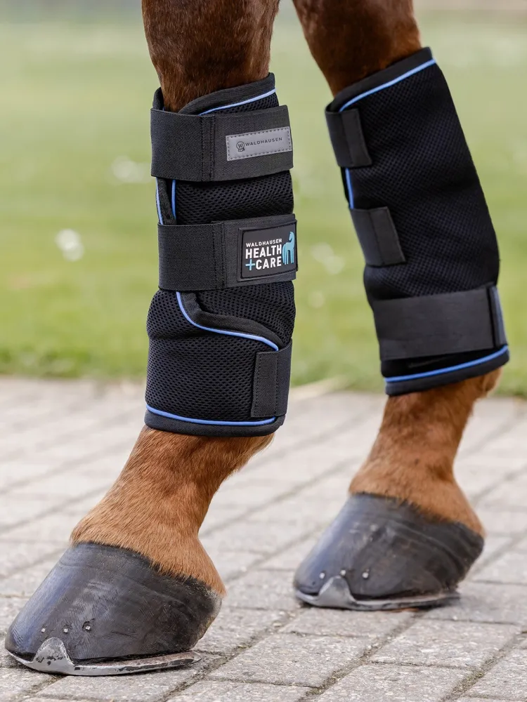 Jalakaitsmed Health & Care Ice Layer Waldhausen