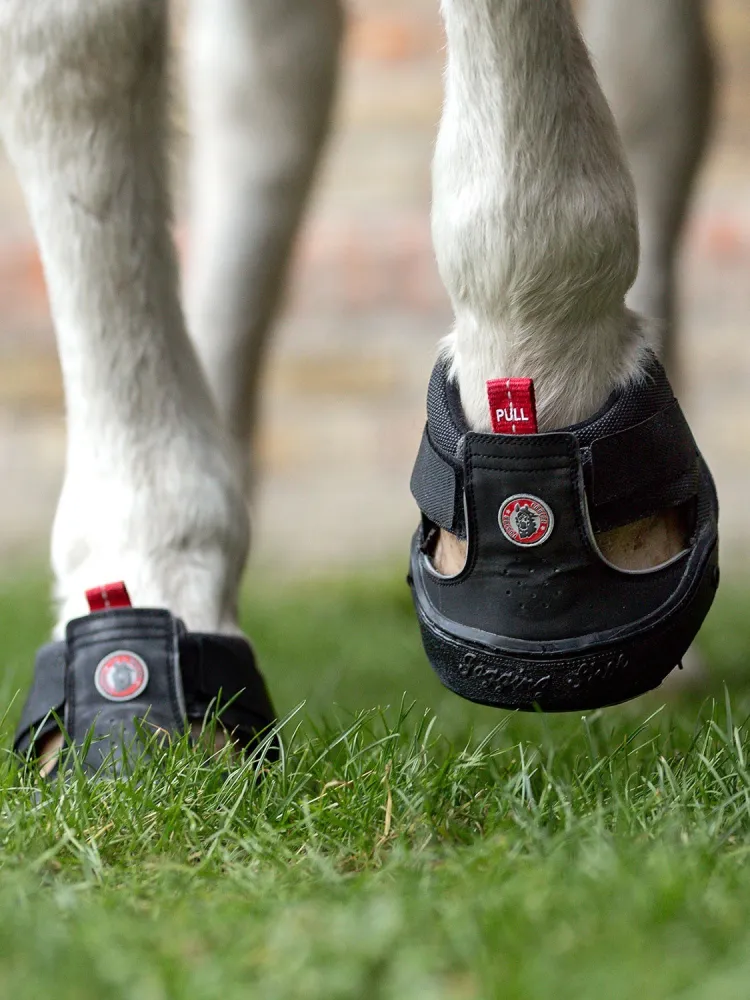 Kabjasuss Trekking Equine Fusion®