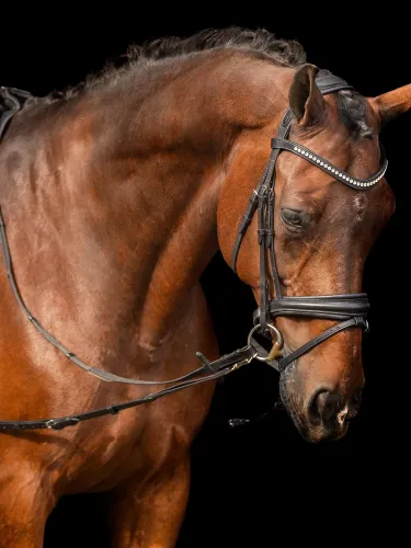 Nahast külgratsmed Core Elastic Imperial Riding