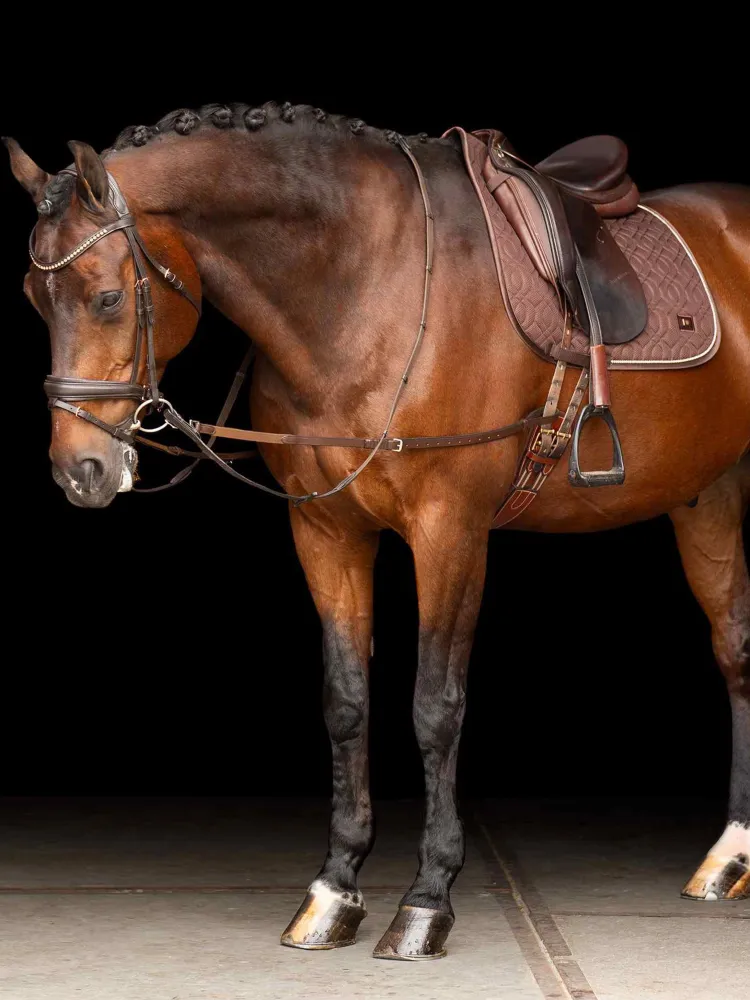 Nahast külgratsmed Core Elastic Imperial Riding
