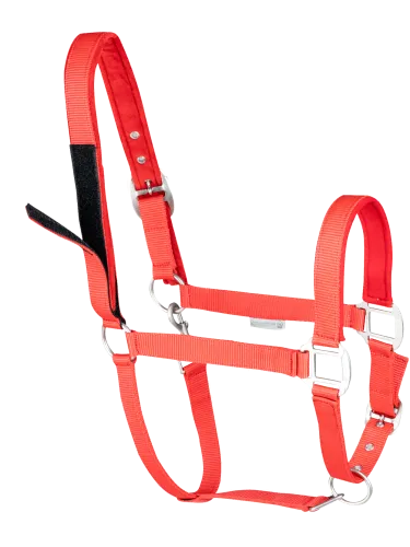 Päitsed Safety Waldhausen