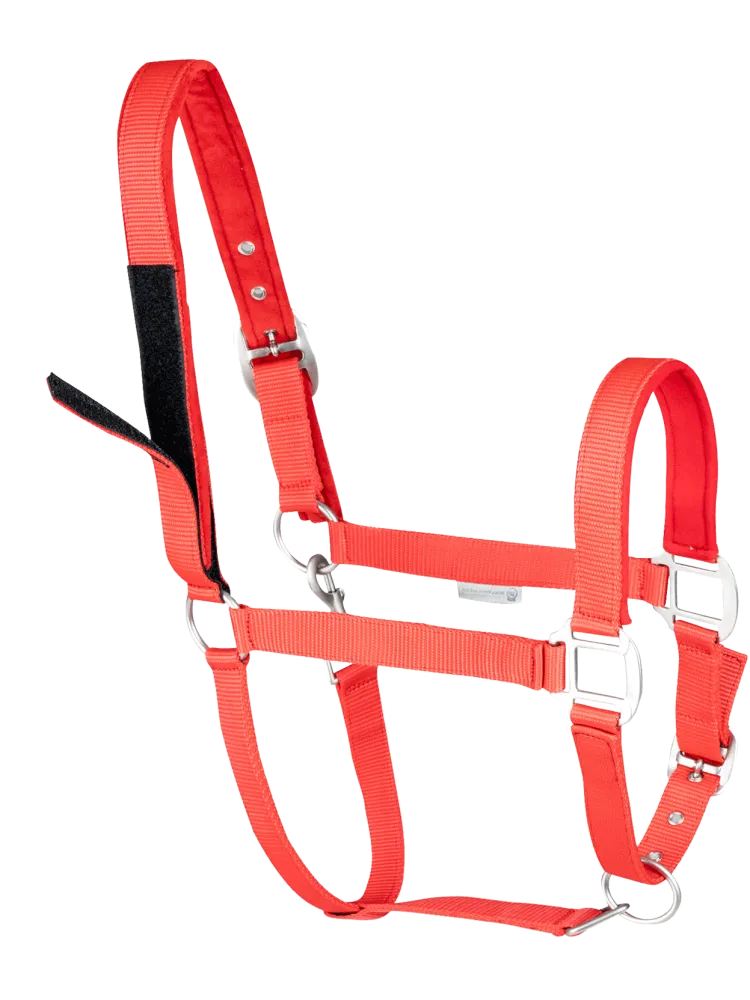 Päitsed Safety Waldhausen