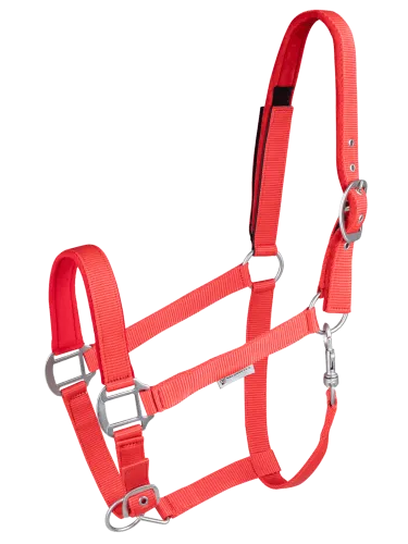 Päitsed Safety Waldhausen