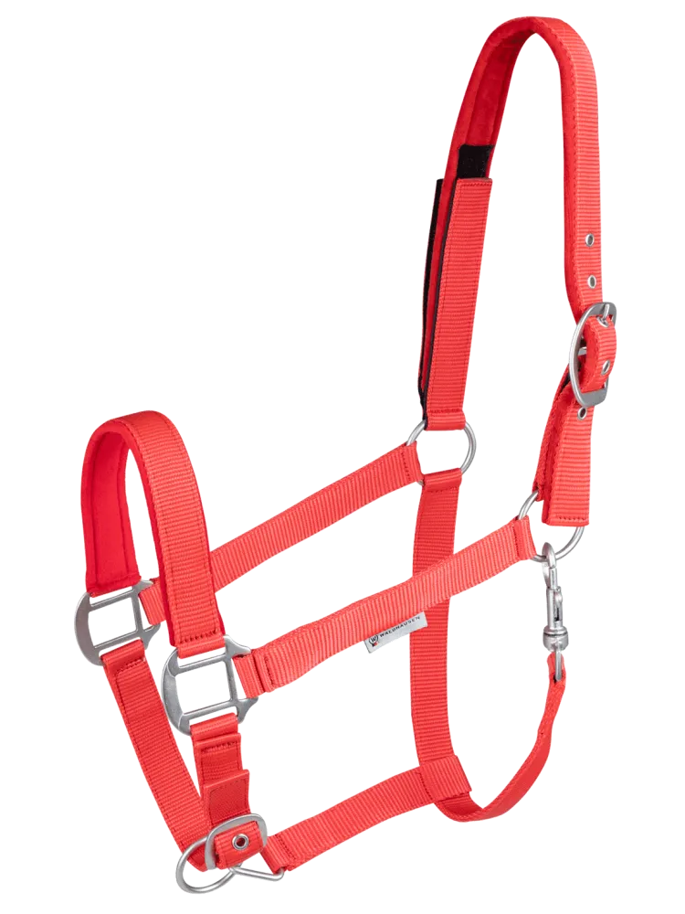 Päitsed Safety Waldhausen