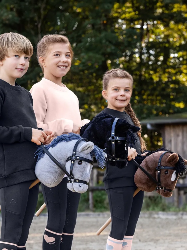 Kepphobune Hobby horse Waldhausen