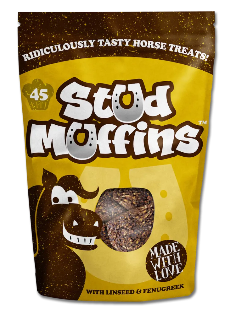 Maiused Stud Muffins 45tk