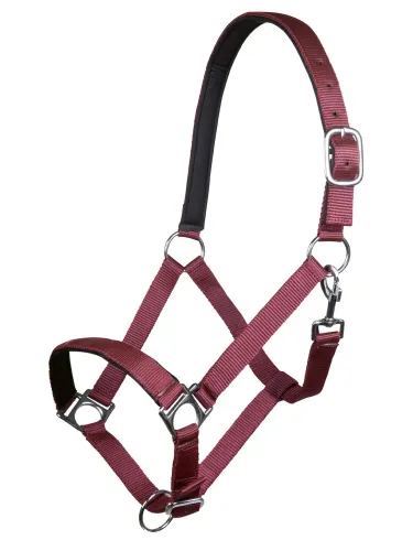 Päitsed Stars HKM