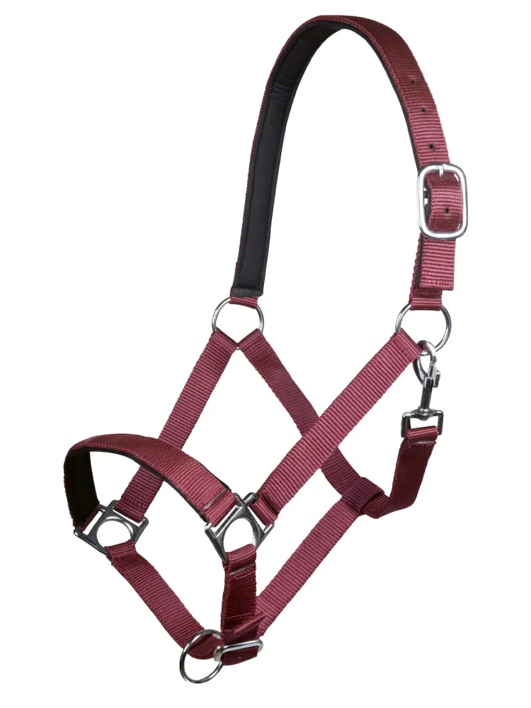 Päitsed Stars HKM