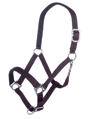 Päitsed Stars HKM