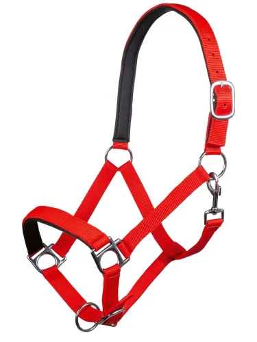 Päitsed Stars HKM