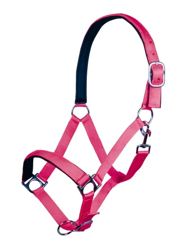 Päitsed Stars Softice HKM