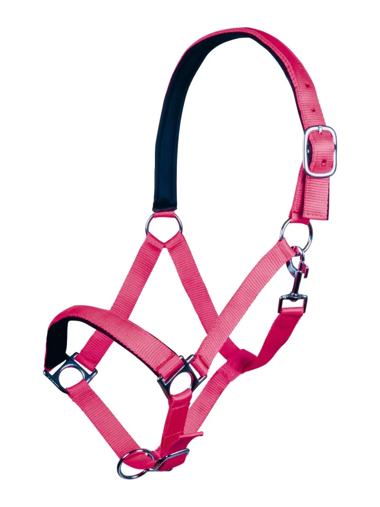 Päitsed Stars Softice HKM