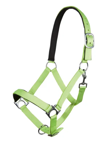 Päitsed Stars Softice HKM