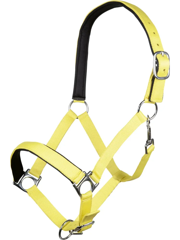 Päitsed Stars Softice HKM