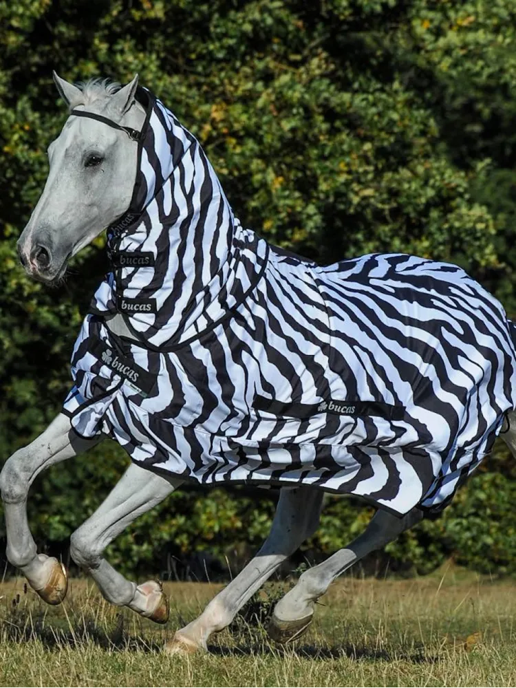 Putukatekk Sweet-Itch Zebra Bucas