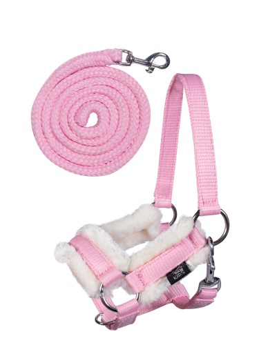 Päitsete ja nööri komplekt Teddy Hobby Horsing HKM